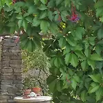 Il Cortile Dei Frutti Selvatici * Санто-Стефано-Бельбо