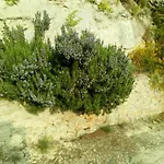 Il Cortile Dei Frutti Selvatici Апартаменты Санто-Стефано-Бельбо
