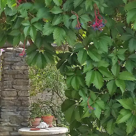 Il Cortile Dei Frutti Selvatici * Santo Stefano Belbo