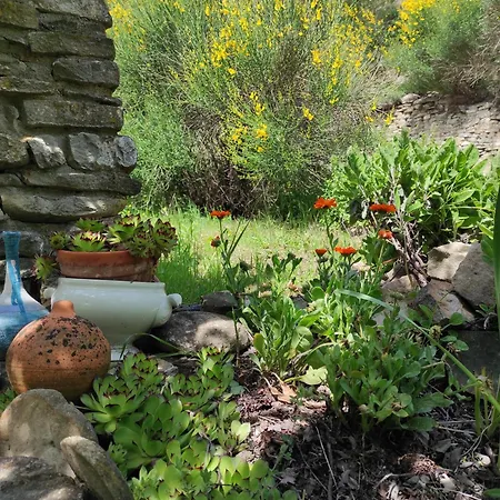 Apartmán Il Cortile Dei Frutti Selvatici