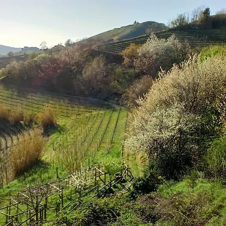 アパート Il Cortile Dei Frutti Selvatici サント・ステファノ・ベルボ