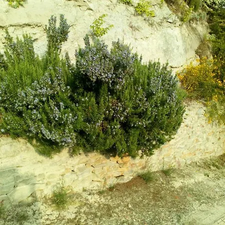 Il Cortile Dei Frutti Selvatici アパート サント・ステファノ・ベルボ