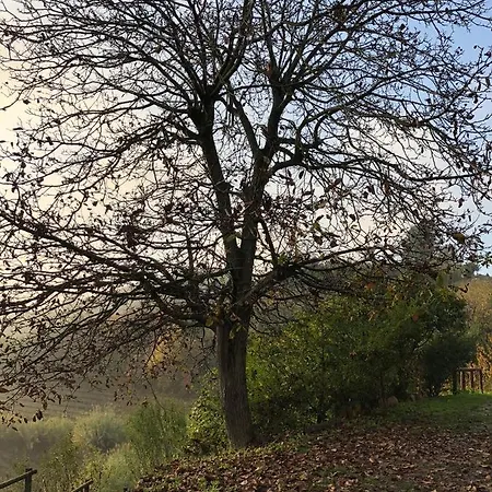 Il Cortile Dei Frutti Selvatici *
