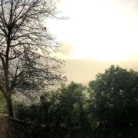 Il Cortile Dei Frutti Selvatici Santo Stefano Belbo