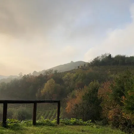 Il Cortile Dei Frutti Selvatici 산토 스테파노 벨보