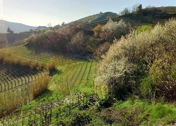 Appartement Il Cortile Dei Frutti Selvatici Santo Stefano Belbo