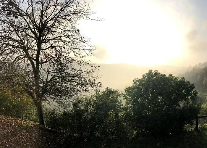 Il Cortile Dei Frutti Selvatici Santo Stefano Belbo